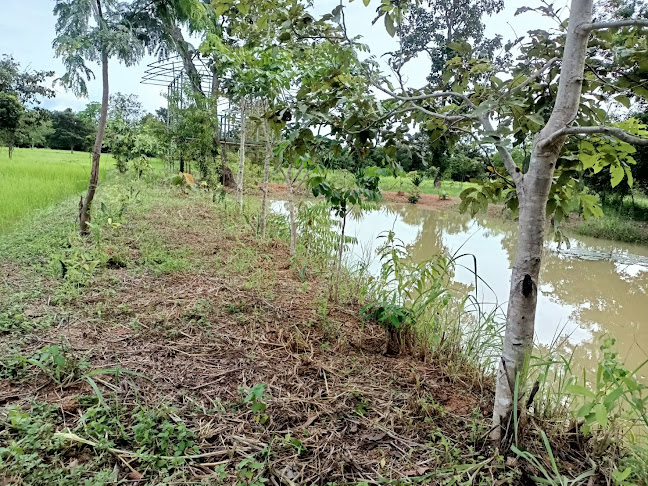 Opinii despre KaribuKoff Ubon în อำเภอเมืองอุบลราชธานี - การบริการอาหารและที่พัก