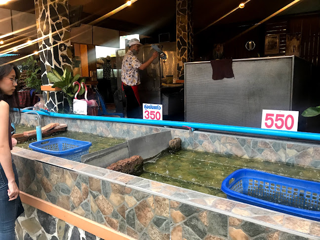 Comentarii opinii despre ร้านอาหาร กุ้งเผา 2