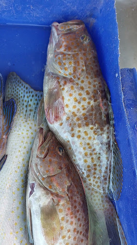 ตลาดแม่แดง (ตลาดสดเทศบาล 4) - การบริการอาหารและที่พัก