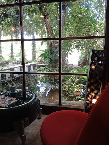 Comentarii opinii despre Pa Klang Mueang Café | ป่ากลางเมือง Café & Co-Working space