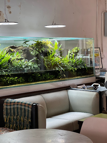 ไม้น้ำคาเฟ่ - กาแฟและต้นไม้น้ำ - การบริการอาหารและที่พัก