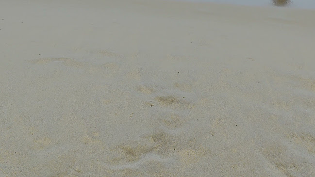 The Beach Bar, Karon Beach