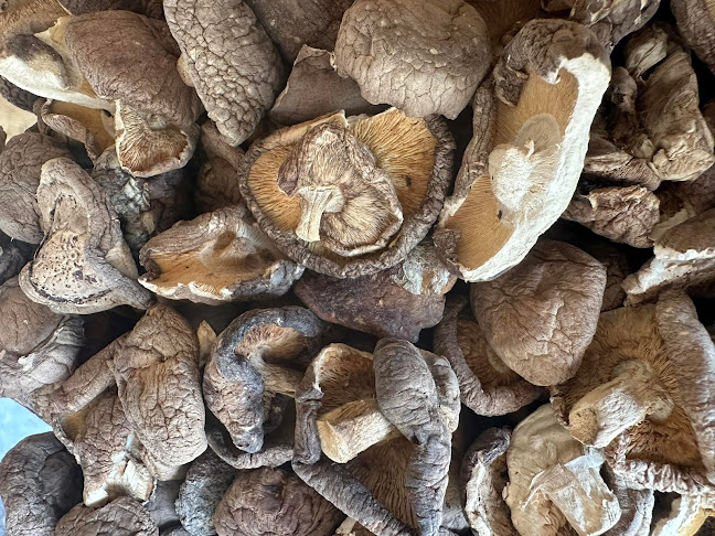 คิม โต๊ะจีน