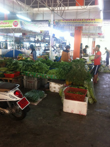 ดารีนผักสด1/ผักสดพัทยา - อำเภอบางละมุง