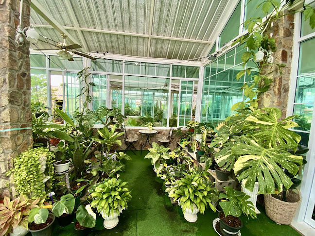 Opinii despre Ma Cheminee tree & coffee house în อำเภอบางละมุง - การบริการอาหารและที่พัก