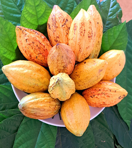 3, ซอย ไสยวน ตำบล ราไวย์ Phuket, ภูเก็ต 83130