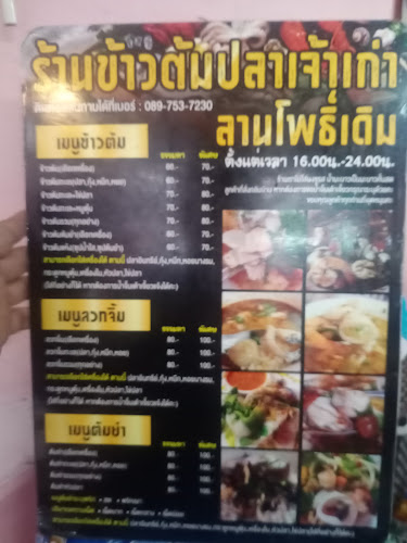 ร่มฉัตร