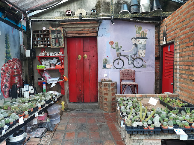 Homecoftus (Pae-cactus)