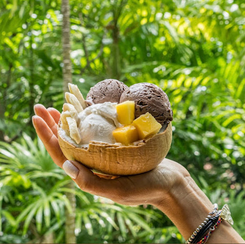 Comentarii opinii despre Coco Mango Ice Cream