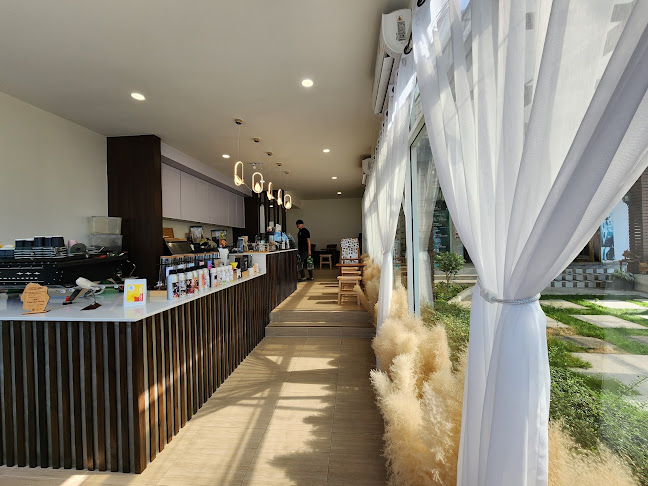 Albatross Coffee Roasters