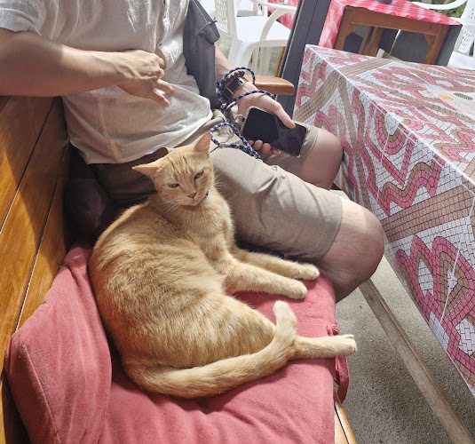 Opinii despre PAMAI KITCHEN ครัวป้าไหม@ปฏักวิลล่า​ห้าแยกฉลอง​ ภูเก็ต​ în อำเภอเมืองภูเก็ต - การบริการอาหารและที่พัก