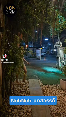 Nob Nob - การบริการอาหารและที่พัก