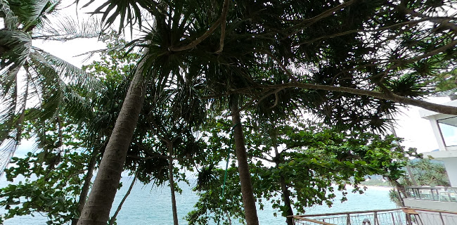 เสื่อผืน หมอนใบ - Muang