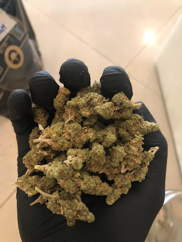 Comentarii opinii despre ZENCANNABISPATTAYA