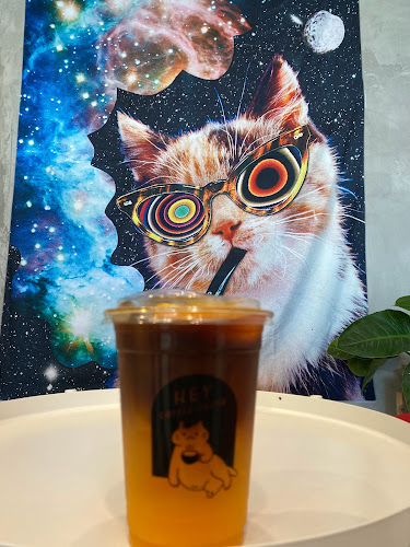 ถ. พัทยา - นาเกลือ เมืองพัทยา อำเภอบางละมุง ชลบุรี 20150