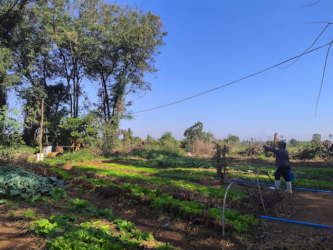 รักนะสุขภาพ (ดอกส้ม) - อำเภอเมืองนครราชสีมา