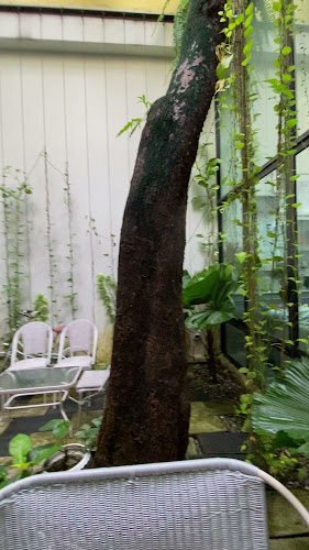 Opinii despre Billin Cafe&Bistro în อำเภอหาดใหญ่ - การบริการอาหารและที่พัก