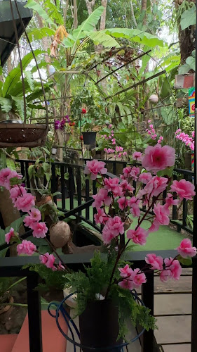 Opinii despre เขาสวนพ่อ KHAO SUAN PHO RESTAURANT în อำเภอเมืองภูเก็ต - การบริการอาหารและที่พัก