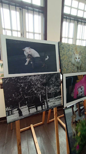 SONGKHLA STATION - การบริการอาหารและที่พัก