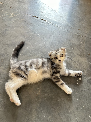 Succeed cafe - การบริการอาหารและที่พัก