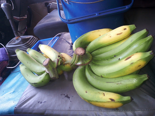 ตลาดอ่าวทอง - การบริการอาหารและที่พัก