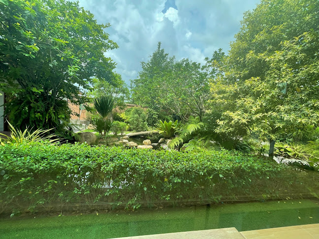 Comentarii opinii despre Nutt - Phob coffee and more