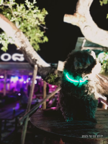 Comentarii opinii despre 08House Radio