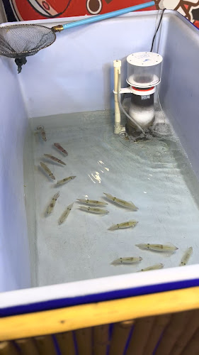 Street food Miami Jomtien สตรีทฟู้ดไมอามี่จอมเทียน - การบริการอาหารและที่พัก