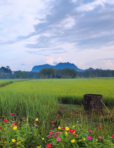 Comentarii opinii despre ร้านกาแฟ น้องนา