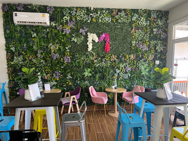 Two Wheels coffee & Scooter for rent