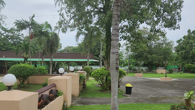 Thai garden Korean restaurant 타이가든한식당 - อำเภอเมืองภูเก็ต