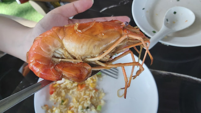 Opinii despre Alive Cheewit Cheewa în อำเภอหาดใหญ่ - การบริการอาหารและที่พัก