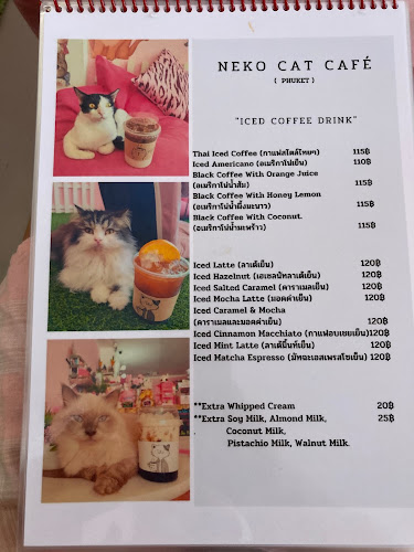 Neko Cat Cafe