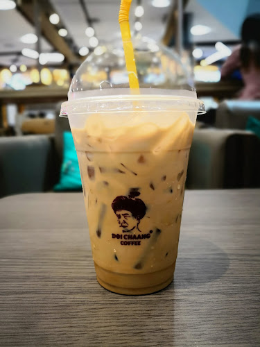 ดอยช้าง คาเฟ่ เซ็นทรัล เฟสติวัล หาดใหญ่