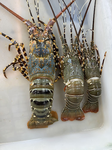 ศรีนวล ตลาดทะเลไทย - เมือง