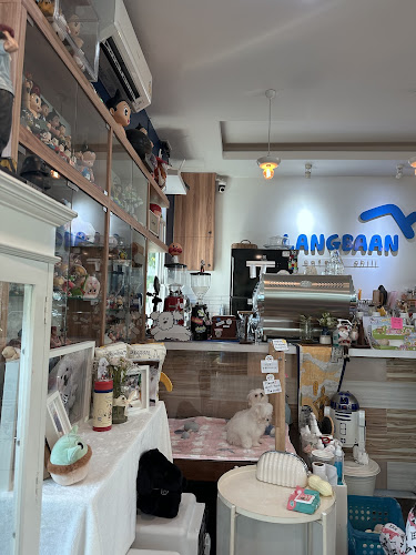 ถนนเลี่ยงเมืองปากเกร็ด ตำบลบางตลาด อำเภอปากเกร็ด นนทบุรี 11120