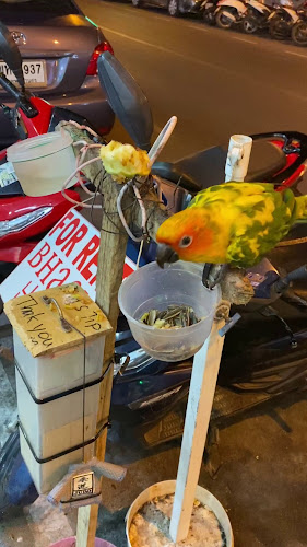 Opinii despre Magic Masala Indian Restaurant în อำเภอเมืองภูเก็ต - การบริการอาหารและที่พัก