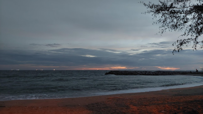 Opinii despre สวนอาหารริมทะเล în อำเภอเมืองระยอง - การบริการอาหารและที่พัก