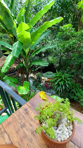 บ้านสวนลุงรงค์ Suan Lung Rong. Cafe'and restaurant - อำเภอเมืองภูเก็ต