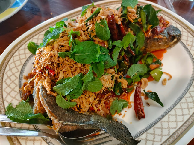 ร้านอาหารเยื่อไม้