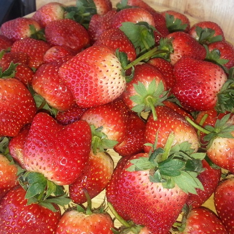 ละมุนเค้ก Homemade Bakery - อำเภอเมืองพิษณุโลก