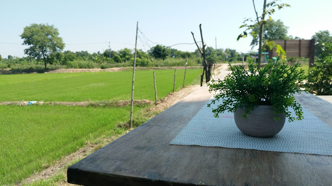 Opinii despre Milk House บ้านนม în อำเภอเมืองสุโขทัย - การบริการอาหารและที่พัก