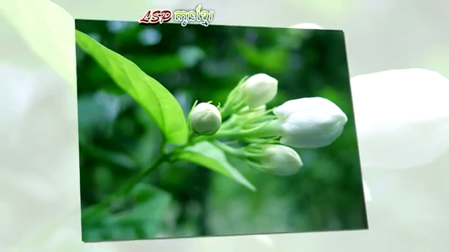 สวนอาหารริมทะเล