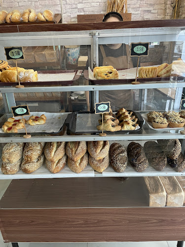 115 8 ตำบล บ่อผุด อำเภอเกาะสมุย สุราษฎร์ธานี 84320