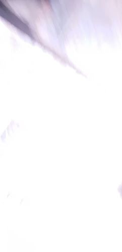 1/115 ถนน วิเศษ ราไวย์ อำเภอเมืองภูเก็ต ภูเก็ต 83130