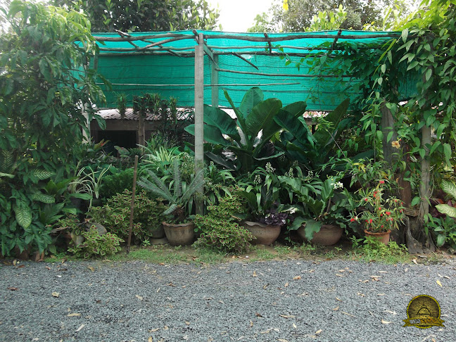 79 หมู่ 8, ตำบลหนองระฆัง อำเภอสนม จังหวัดสุรินทร์, 32160 32160