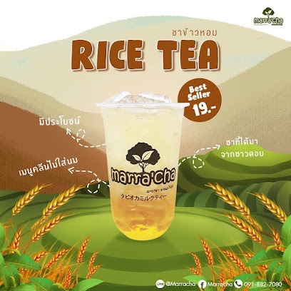 มาราชา ชานมไข่มุก สาขาหมู่บ้านลานทอง ปากเกร็ด