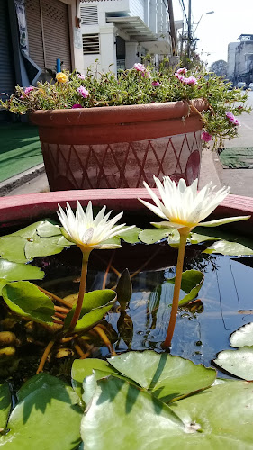 ร้านกาแฟชัยวัฒน์ - การบริการอาหารและที่พัก