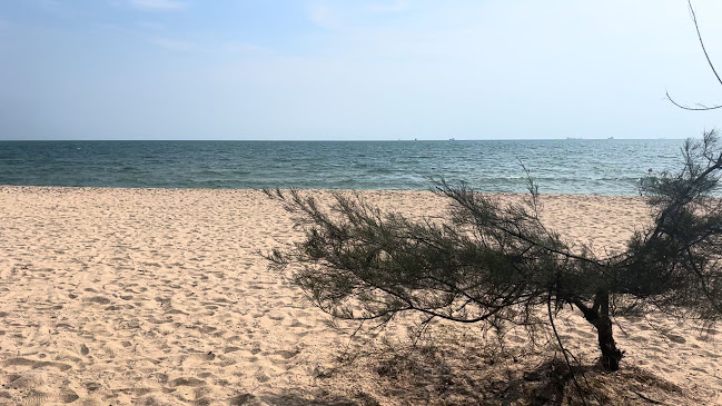 1 ถนน เลียบชายฝั่ง ตำบล ปากน้ำ อำเภอเมืองระยอง ระยอง 21000