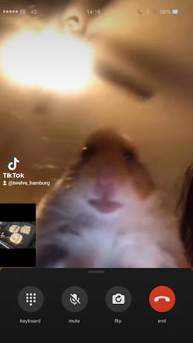 Opinii despre Twleve hamburgs în อำเภอเมืองนครสวรรค์ - การบริการอาหารและที่พัก